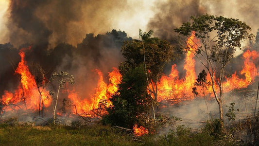 To reduce carbon emissions, what more we can do?