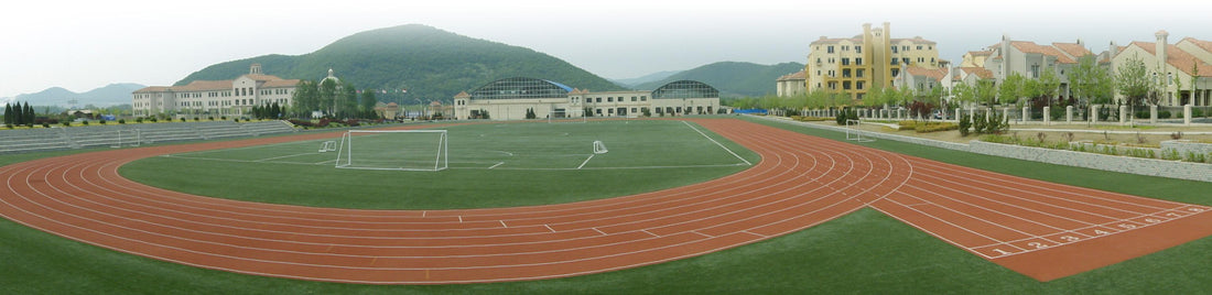 Football field, 18 classrooms, studios: features and photos of the new school built by the governor of Nigeria